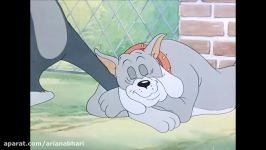 Tom and Jerry 95 Episode  Smarty Cat 1955