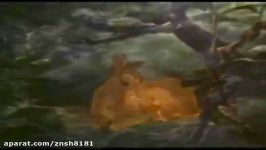 Bambi AMV Walt Disney Classics