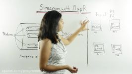 Streaming Data with MapR