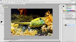 دانلود آموزش Udemy Practical Photoshop How To Make ...