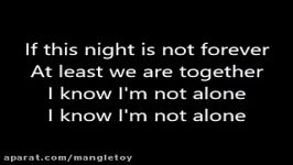 Alan Walker  Alone LYRICS