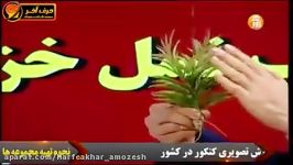 زیست شناسی کنکور  چرخه تناوب نسل