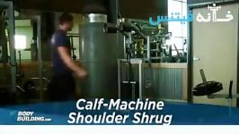 CALF MACHINE SHOULDER SHRUG new