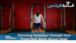 Standing Dumbbell Straight Arm Front Delt Raise Above Head new