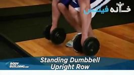 STANDING DUMBBELL UPRIGHT ROW new