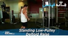 Standing Low Pulley Deltoid Raise new