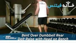 Bent Over Dumbbell Rear Delt Raise With Head On Bench new