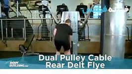 Cable Rear Delt Fly new