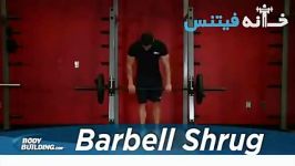 BARBELL SHRUG new