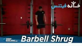 BARBELL SHRUG new