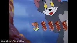 Tom And Jerry English Episodes  The Cat and the Mermouse  Cartoons For Kids Tv