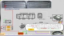 رله دوبل رانا مالتی پلکس