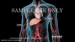 LDL and HDL Cholesterol  Good and Bad Cholesterol  Nucleus Health