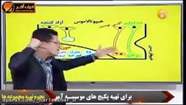 زیست شناسی کنکور حرف آخر  آموزش مبحث پارادوکس هورمون ها