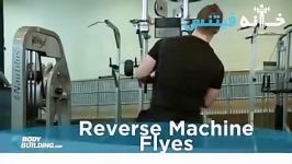 Reverse Machine Flyes new