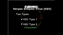 ویروس هرپس سیمپلکس