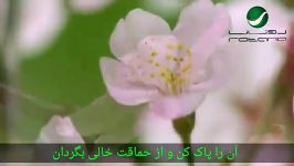 آهنگ عربینشید حسن الخلق مشاری العفاسی ترجمه فارسی