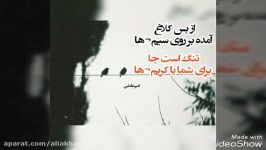 شعر خوشنویسی❤غزل تازه امیر عاملی