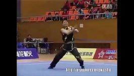 paresh 2012 wushu