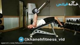 Decline Dumbbell Bench Press new