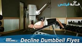 Decline Dumbbell Flyes new