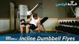 Incline Dumbbell Flyes new