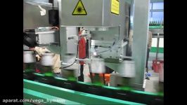 Hymson Laser丨fiber laser marking machine production line