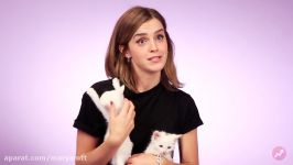 Emma Watson Plays With Kittens While Answering Fan Questions