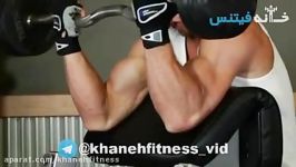 Preacher Curl Exercise Guide and Video new