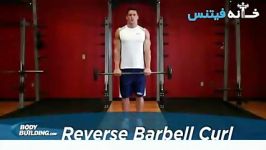 Reverse Barbell Curl Exercise Guide and Video new