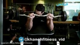 Reverse Barbell Preacher Curls Exercise Guide and Video new