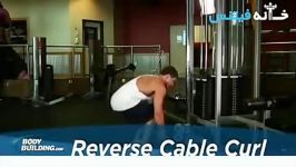 Reverse Cable Curl Exercise Guide and Video new