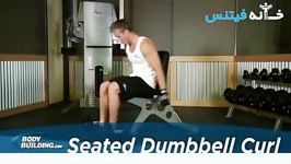 Seated Dumbbell Curl Exercise Guide and Video new