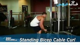 Standing Biceps Cable Curl Exercise Guide and Video new