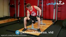 Concentration Curls Exercise Guide and Video new