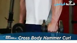 Cross Body Hammer Curl Exercise Guide and Video new