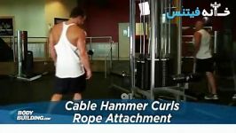 Cable Hammer Curls  Rope Attachment Exercise Guide