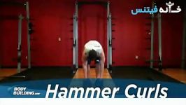 Hammer Curls Exercise Guide and Video new