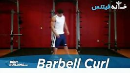 Barbell Curl Exercise Guide and Video new