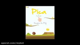 Pica Chicken