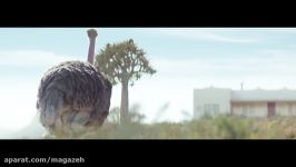 Samsung Official TVC Ostrich