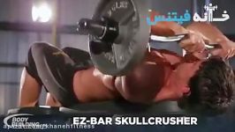 EZ Bar Skullcrusher Exercise Guide and Video new