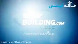 Incline Barbell Triceps Extension Exercise Guide and Video new