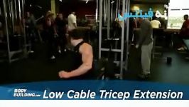 Low Cable Triceps Extension Exercise Guide and Video new