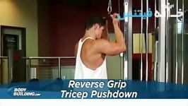 Reverse Grip Triceps Pushdown Exercise Guide and Video new