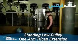 Standing Low Pulley One Arm Triceps Extension Exercise Guide and Video new