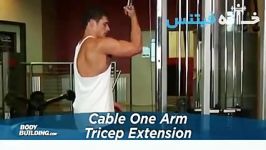 Cable One Arm Tricep Extension Exercise Guide and Video new