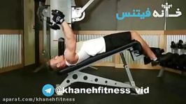 Decline Dumbbell Triceps Extension Exercise Guide and Video new