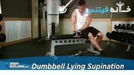 Dumbbell Lying Supination Exercise Guide and Video new