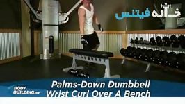 Palms Down Dumbbell Wrist Curl Over A Bench Exercise Guide and Video new